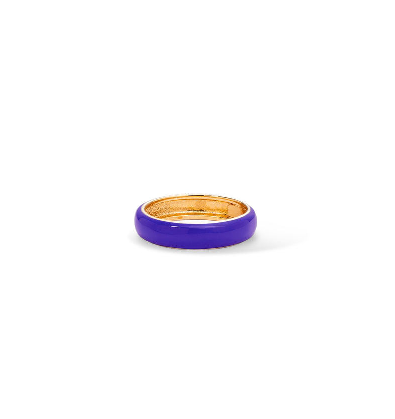  Hoop ring with purple enamel 2 